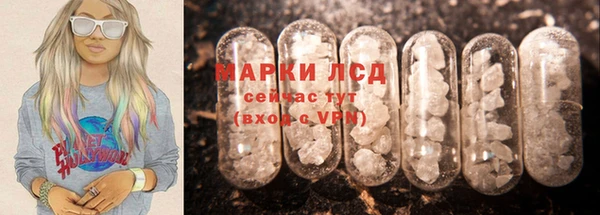 тгк Новозыбков
